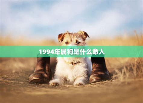 1994年屬|1994年属狗是什么命五行 1994年属狗是什么命五行缺什么